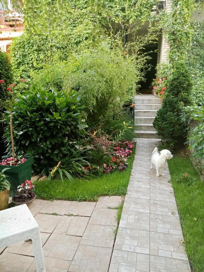 Dusica Apartmani Jagodina Luaran gambar