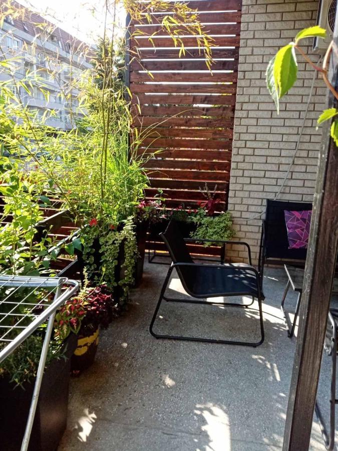 Dusica Apartmani Jagodina Luaran gambar