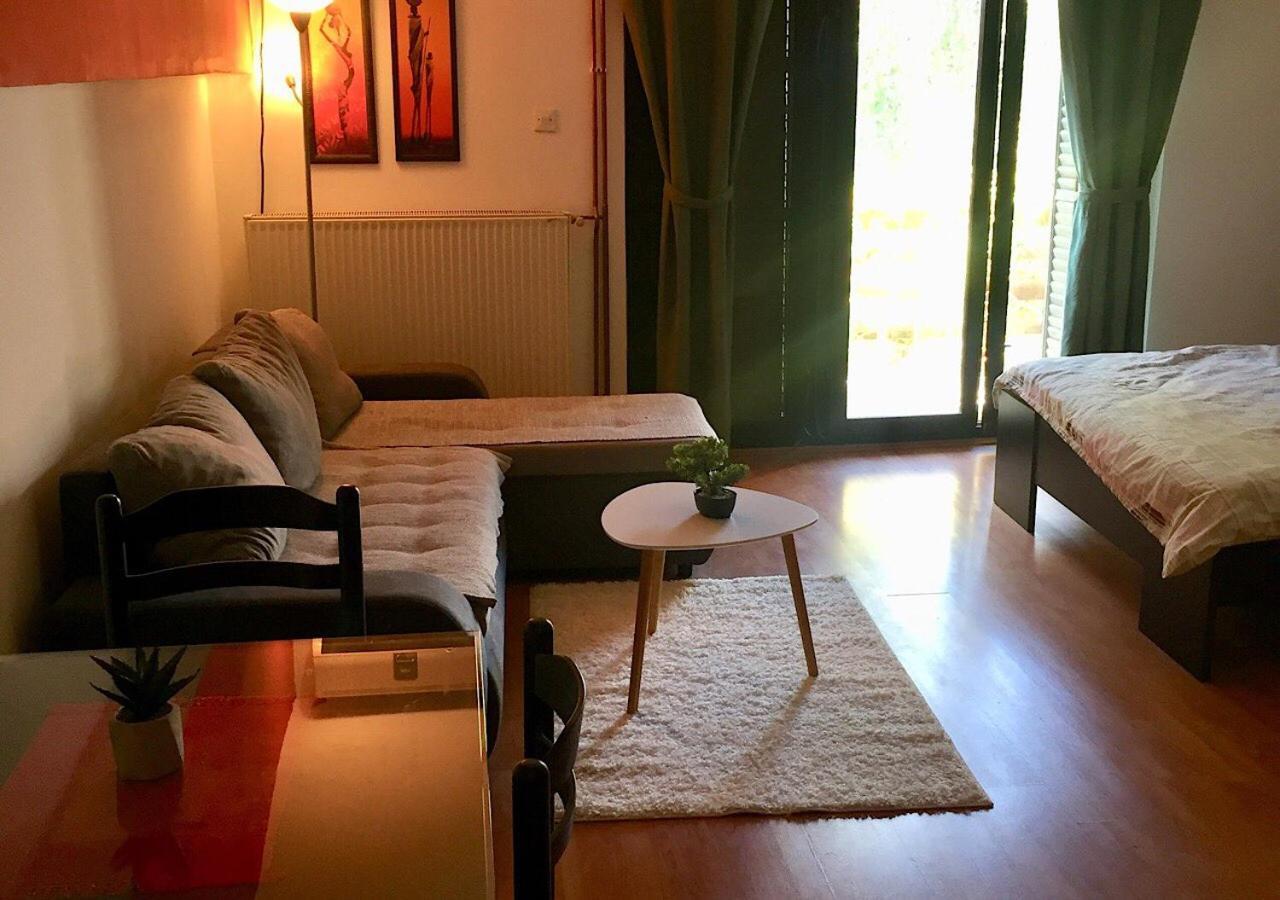 Dusica Apartmani Jagodina Luaran gambar
